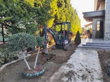 Bakı Peyzaj Hizmetleri